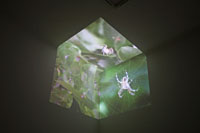 Trap, Erika Deák Galerie, Budapest 2010, photo:
Zoltán Kerekes
