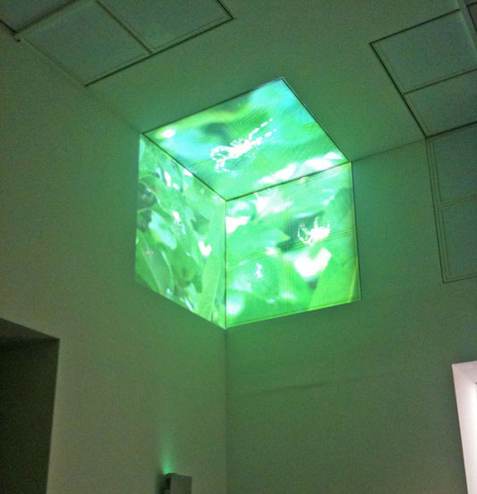 Eike: Cube, Museum Kunst Palast, Dsseldorf, 2009