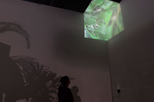 Eike: Cube, Nam June Paik Center, Korea, 2010