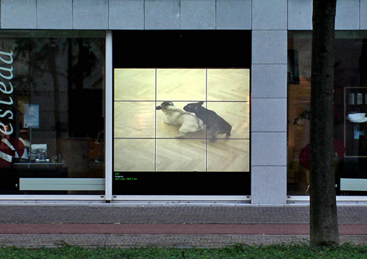 Eike: After Laika, Extended Views, Maastrich 2004